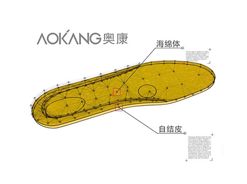 AOKANG 鞋墊 《康萊仕》圖形動畫/